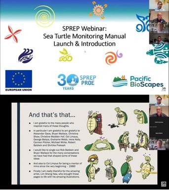 Sea turtle monitoring manual launch - Webinar