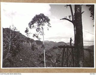 FLYING FOX AT OWERS' CORNER WITH THE OWEN STANLEYS IN THE BACKGROUND