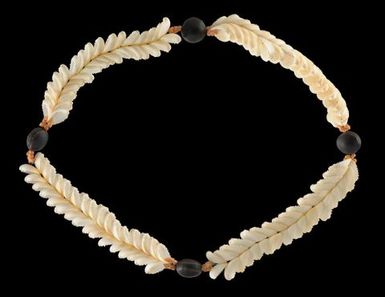 Shell Necklace