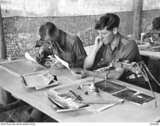 YALU, NEW GUINEA. 1945-08-03. PRIVATE G.T. HORNCASTLE (1) AND PRIVATE W.C CUREDALE (2), STUDENTS AT THE NEW GUINEA TRAINING SCHOOL, MARKING STEREOPHOTOGRAPHS FOR MODELLING