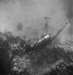 Underwater field work off the island of Vava'u, Tonga