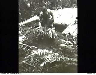 NEW IRELAND, 1945-10. A NEW ZEALAND AIR FORCE OFFICER INSPECTS THE GRAVE OF A CREW MEMBER OF CRASHED RNZAF LOCKHEED VENTURA AIRCRAFT NZ4613. THE STARBOARD WING AND ENGINE NACELLE OF THE AIRCRAFT ..