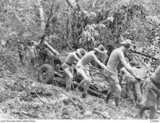25-POUNDER GUNS OF B TROOP, 14TH FIELD REGIMENT, ROYAL AUSTRALIAN ARTILLERY, BEING PULLED THROUGH DENSE JUNGLE IN THE VICINITY OF UBERI ON THE KOKODA TRAIL. MEMBERS OF THE REGIMENT ARE BEING ..