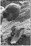 Folofo'u bespells plants for langwalee'ai magic, associated with the return of a mother and newborn infant from the childbrith and menstrual hut areas