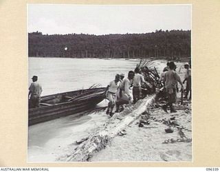 MUSCHU ISLAND, NEW GUINEA, 1945-09-08. JAPANESE SOLDIERS ON THE ISLAND BEACHING THEIR BARGE. THE MEN, UNDER HQ 6 DIVISION CONTROL, WILL CONSTRUCT THEIR OWN HOSPITAL AND CAMPS