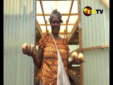 A Closer Look on Bulb Onion Dryer