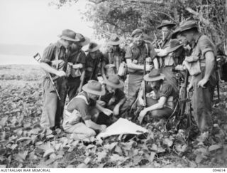 Lamarien, Henry Reid Bay, New Britain. 1945-07-28. A 2/2nd Cavalry Commando Squadron, AIF, patrol, led by WX10893 Lieutenant R.K. Palmer, studying a map before heading inland. All the men were ..