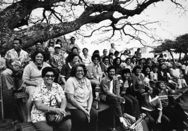 Fans at Puerto Rican softball league tournament, Honolulu, HI, 1981