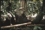 Man standing beside petroglyph at a shrine