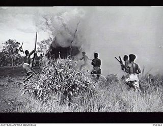 BISIATABU, NEW GUINEA. 1943-07-01. 1ST PAPUAN INFANTRY BATTALION TRAINING EXERCISE, IN WHICH A GRASS HUT CONTAINING AN IMAGINARY ENEMY IS SET ON FIRE BY MEANS OF A BURNING ARROW SHOT FROM A BOW. ..