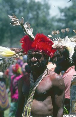["huvudbonad, man, porträtt, fotografi, photograph"]