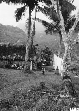 house, boy, palm, wash, village, photograph, ph