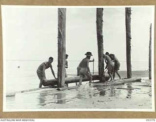 MIRAVASI (MINVASI?), NEW GUINEA. 1943-06-29. TROOPS OF 2/4TH AUSTRALIAN FIELD SQUADRON, ROYAL AUSTRALIAN ENGINEERS, FITTING CROSS PIECES INTO POSITION ON GROYNE PILES. FACING CAMERA IS WX16850 ..