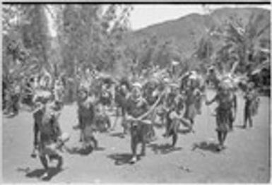 Pig festival, uprooting cordyline ritual: decorated allies enter dance grounds, carrying drums and weapons