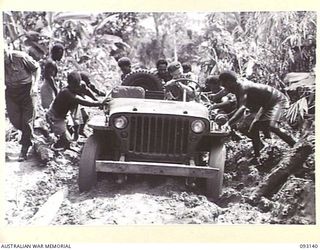 SORAKEN AREA, BOUGAINVILLE, 1945-06-16. CAPTAIN W. KENNEDY, OFFICER COMMANDING 11 INFANTRY BRIGADE SIGNALS (2), LIEUTENANT W.R. THOMPSON, GUARD PLATOON, 11 INFANTRY BRIGADE (1) AND NATIVES GETTING ..