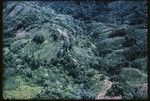 Wahgi-Sepik Divide, aerial view of gardens on north slope