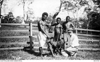 NAMANULA, RABAUL. C. 1915. AN AUSTRALIAN WITH THREE NATIVES AND A GOAT WHICH WAS THE MILK SUPPLY FOR THE HOSPITAL