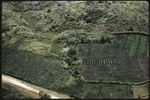 Wahgi River Valley, aerial view of gardens