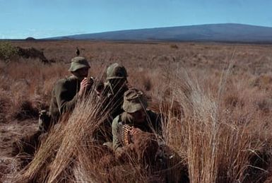 Members of the Australian Army man an M-60 machine gun position during a joint US/Australian training exercise at the US Army's Pohakuloa Training Area. Second Lieutenant Brock E. Ayers, center, liaison officer from the 1ST Battalion, 21st Infantry, 25th Infantry Division, observes