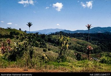 Okapa road - 8 1/2 miles to Okapa (Mt Michael)