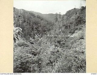 WAU - LAE ROAD, NEW GUINEA, 1944-02-20. THE ROAD LEADING TO SUNSHINE SKIRTING THE NORTHERN SIDE OF THE BULOLO RIVER APPROXIMATELY 9 MILES FROM WAU