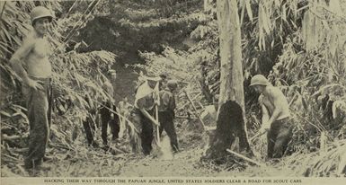 The Allies reconquer Papua New Guinea