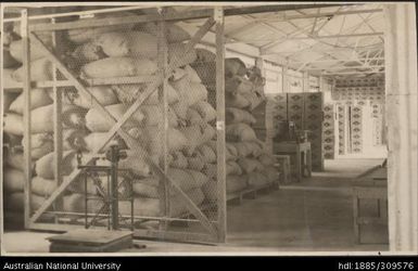 Sugar Stock in Warehouse, Pineapple Cannery