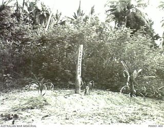 NEW IRELAND, 1945-10. JAPANESE MARKED POST IN A CLEARING, PROBABLY A BURIAL SITE. (RNZAF OFFICIAL PHOTOGRAPH.)