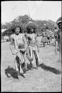 Several decorated Motuan male dancers with hand drums, Port Moresby, Papua, ca. 1923, 2 / Sarah Chinnery