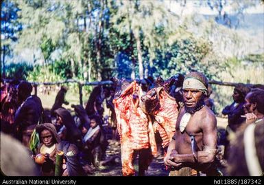 Pig kill: Ribcages and heads on display