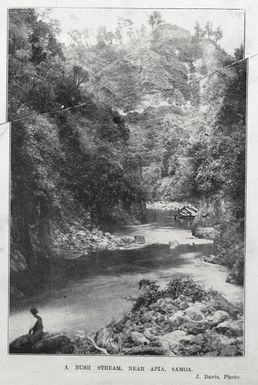 A bush stream near Apia, Samoa