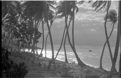 Fieldwork in Fiji