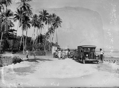 [View of palm trees, vehicles, and people]