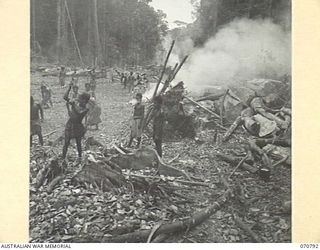 GABENSIS, NEW GUINEA, 1944-03-02. NATIVE WORKERS CUTTING STUMPS OUT THROUGH THE CLEARING ON THE WAU - LAE ROAD