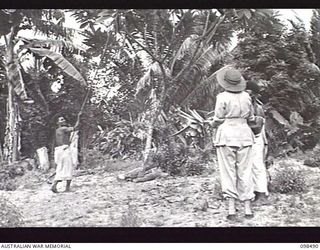 KOIL ISLAND, NEW GUINEA, 1945-10-31. A VISIT TO KOIL ISLAND WAS ARRANGED BY THE RED CROSS FOR THE PURPOSE OF MEDICAL INSPECTION OF THE NATIVE INHABITANTS. THE VISITING PARTY CONSISTED OF AN ..