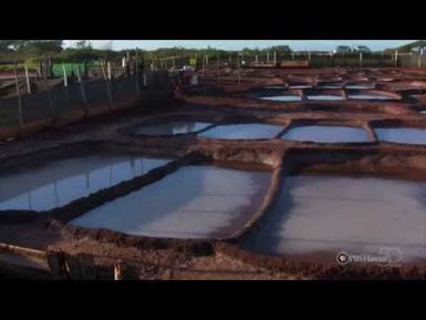 "Salt Pond" by Chiefess Kamakahelei Middle School | HIKI NŌ 310 | PBS HAWAIʻI