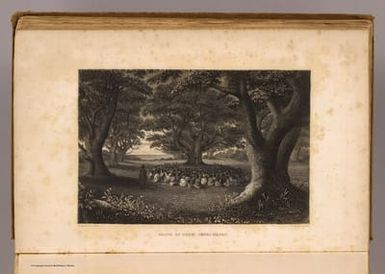 Grove of tutui trees, Kauai. Drawn by A.T. Agate. J.A. Rolph sc., N.Y. (Philadelphia: Lea & Blanchard. 1845)