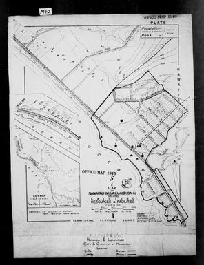 1940 Census Enumeration District Maps - Hawaii - Honolulu County - Lualualei - ED 2-194, ED 2-196