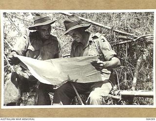 FINISTERRE RANGES, NEW GUINEA. 1944-01-23. QX6064 MAJOR E. FLEMING (2) SECOND IN CHARGE, 2/9TH INFANTRY BATTALION, WITH QX15517 CORPORAL G. DURAN (1) STUDYING A MAP OF THE SHAGGY RIDGE AREA