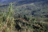 Papua New Guinea, view of landscape and village