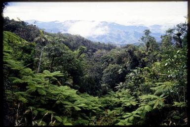 East from Mt Aoupinie