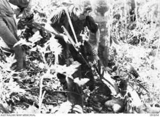 WEWAK AREA, NEW GUINEA, 1945-06-11. DURING THE ACTIVITIES OF 2/8 INFANTRY BATTALION IN THE WEWAK AREA, ONE OF THE JAPANESE KILLED WAS DRESSED IN AUSTRALIAN JUNGLE GREEN UNIFORM AND USING AN ..