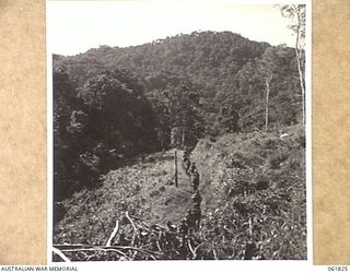 KOKODA TRAIL, NEW GUINEA. 1943-12-19. MEN OF THE 2/9TH AUSTRALIAN INFANTRY BATTALION MOVING TO THE "FRONT LINE" DURING THE FILMING OF SEQUENCES OF THE "RATS OF TOBRUK" BY CHAUVEL'S PRODUCTIONS