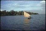 Canoe with sail up, near a small island