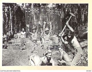 BOUGAINVILLE. 1945-05-25. ENGINEERS OF 15 FIELD COMPANY, ROYAL AUSTRALIAN ENGINEERS, LAYING WIRE MESH OVER CORDUROY ALONG THE BUIN ROAD, WHICH IS THE MAIN SUPPLY ROUTE TO THE INFANTRY ADVANCING IN ..