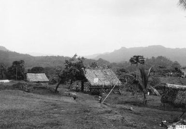 building, village, tree, roof cover, photography, ph