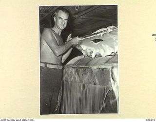 BOUGAINVILLE ISLAND. 1945-01-23. N454021 PRIVATE F. KELLY (1) OPERATING A ROTARY WASHING MACHINE IN THE MOBILE LAUNDRY OF THE 109TH CASUALTY CLEARING STATION