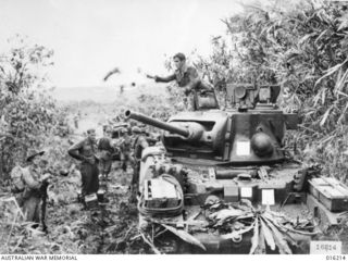 Sattelberg. New Guinea. 1943-11. Matilda tanks and troops on the track to Sattelberg