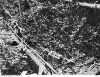 NEW GUINEA, 1942-07. NATIVE CARRIERS MANHANDLE SUPPLIES FOR AUSTRALIAN KANGA FORCE OPERATING IN THE WAU AREA 120 MILES FROM BULLDOG CAMP. (FILM STILL)