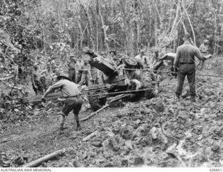 25-POUNDER GUNS OF B TROOP, 14TH FIELD REGIMENT, ROYAL AUSTRALIAN ARTILLERY, BEING PULLED THROUGH DENSE JUNGLE IN THE VICINITY OF UBERI ON THE KOKODA TRAIL. AT THE REAR OF THE GUN IS GUN SERGEANT ..